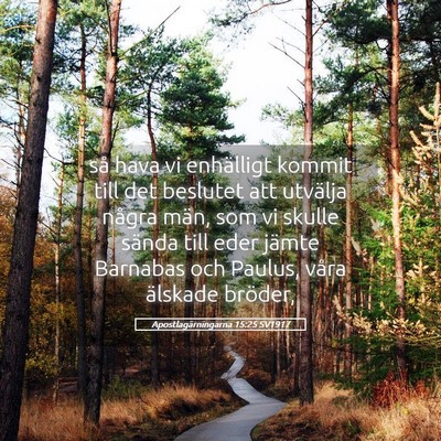 Picture 05 - Apostlagärningarna 15:25 SV1917 - så hava vi enhälligt kommit till det beslutet - Bible Verse Picture