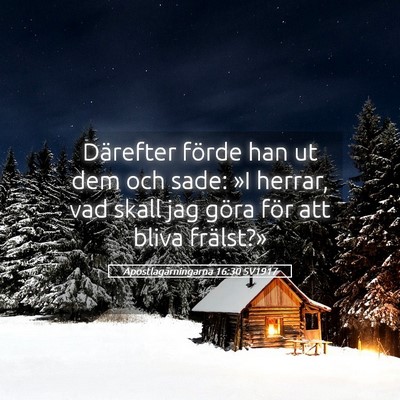 Picture 05 - Apostlagärningarna 16:30 SV1917 - Därefter förde han ut dem och sade: »I herrar, - Bible Verse Picture