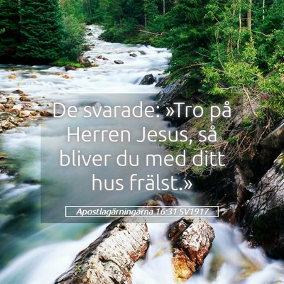 Picture 05 - Apostlagärningarna 16:31 SV1917 - De svarade: »Tro på Herren Jesus, så bliver du - Bible Verse Picture