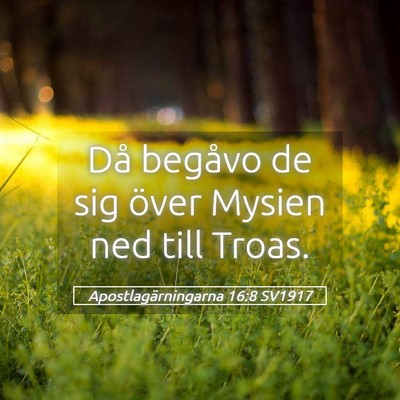 Picture 05 - Apostlagärningarna 16:8 SV1917 - Då begåvo de sig över Mysien ned till - Bible Verse Picture