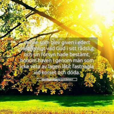 Picture 05 - Apostlagärningarna 2:23 SV1917 - denne som blev given i edert våld, enligt vad - Bible Verse Picture