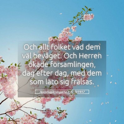 Picture 05 - Apostlagärningarna 2:47 SV1917 - Och allt folket vad dem väl bevåget. Och Herren - Bible Verse Picture