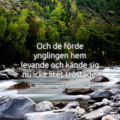 Picture 05 - Apostlagärningarna 20:12 SV1917 - Och de förde ynglingen hem levande och kände - Bible Verse Picture