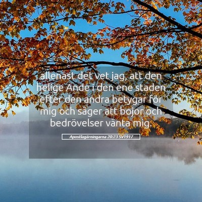 Picture 05 - Apostlagärningarna 20:23 SV1917 - allenast det vet jag, att den helige Ande i den - Bible Verse Picture