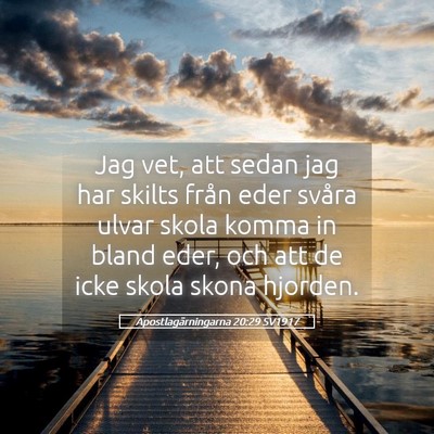 Picture 05 - Apostlagärningarna 20:29 SV1917 - Jag vet, att sedan jag har skilts från eder - Bible Verse Picture