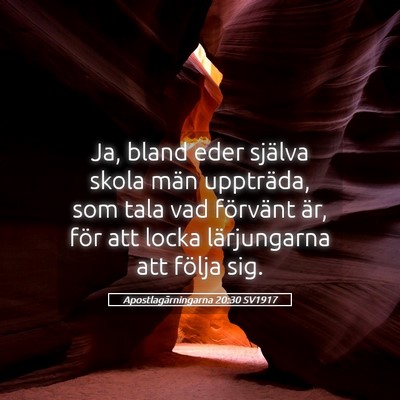 Picture 05 - Apostlagärningarna 20:30 SV1917 - Ja, bland eder själva skola män uppträda, som - Bible Verse Picture