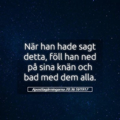 Picture 05 - Apostlagärningarna 20:36 SV1917 - När han hade sagt detta, föll han ned på sina - Bible Verse Picture