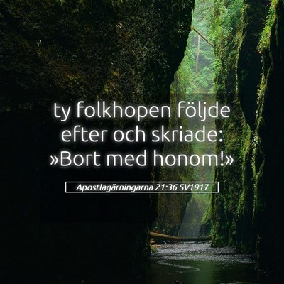 Picture 05 - Apostlagärningarna 21:36 SV1917 - ty folkhopen följde efter och skriade: »Bort - Bible Verse Picture