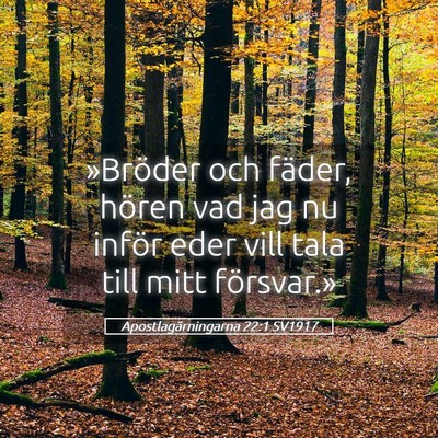 Picture 05 - Apostlagärningarna 22:1 SV1917 - »Bröder och fäder, hören vad jag nu inför - Bible Verse Picture