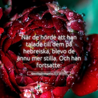 Picture 05 - Apostlagärningarna 22:2 SV1917 - När de hörde att han talade till dem på - Bible Verse Picture
