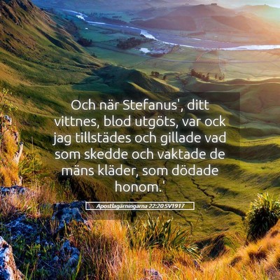 Picture 05 - Apostlagärningarna 22:20 SV1917 - Och när Stefanus', ditt vittnes, blod utgöts, - Bible Verse Picture