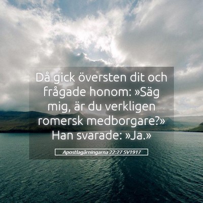 Picture 05 - Apostlagärningarna 22:27 SV1917 - Då gick översten dit och frågade honom: »Säg - Bible Verse Picture