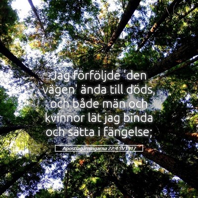 Picture 05 - Apostlagärningarna 22:4 SV1917 - Jag förföljde 'den vägen' ända till döds, - Bible Verse Picture