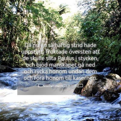 Picture 05 - Apostlagärningarna 23:10 SV1917 - Då nu en så häftig strid hade uppstått, - Bible Verse Picture