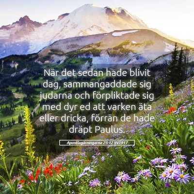 Picture 05 - Apostlagärningarna 23:12 SV1917 - När det sedan hade blivit dag, sammangaddade sig - Bible Verse Picture