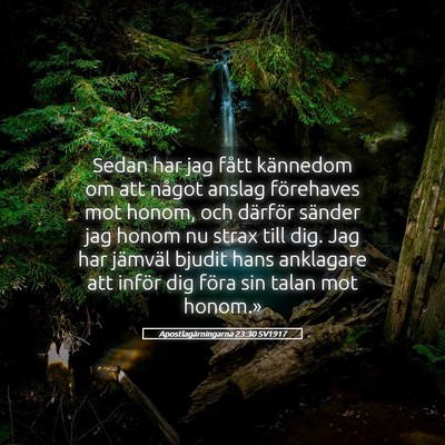 Picture 05 - Apostlagärningarna 23:30 SV1917 - Sedan har jag fått kännedom om att något - Bible Verse Picture