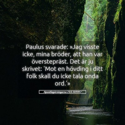 Picture 05 - Apostlagärningarna 23:5 SV1917 - Paulus svarade: »Jag visste icke, mina bröder, - Bible Verse Picture