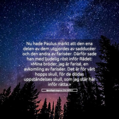 Picture 05 - Apostlagärningarna 23:6 SV1917 - Nu hade Paulus märkt att den ena delen av dem - Bible Verse Picture