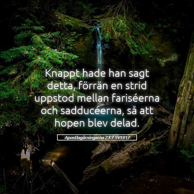 Picture 05 - Apostlagärningarna 23:7 SV1917 - Knappt hade han sagt detta, förrän en strid - Bible Verse Picture