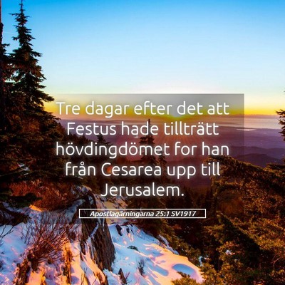 Picture 05 - Apostlagärningarna 25:1 SV1917 - Tre dagar efter det att Festus hade tillträtt - Bible Verse Picture
