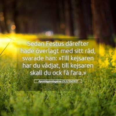 Picture 05 - Apostlagärningarna 25:12 SV1917 - Sedan Festus därefter hade överlagt med sitt - Bible Verse Picture
