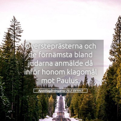 Picture 05 - Apostlagärningarna 25:2 SV1917 - Översteprästerna och de förnämsta bland - Bible Verse Picture