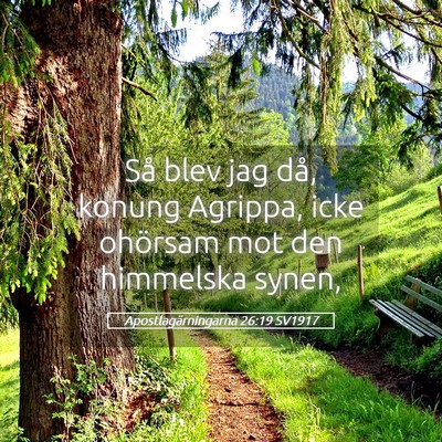 Picture 05 - Apostlagärningarna 26:19 SV1917 - Så blev jag då, konung Agrippa, icke ohörsam - Bible Verse Picture