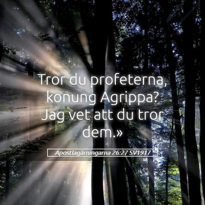 Picture 05 - Apostlagärningarna 26:27 SV1917 - Tror du profeterna, konung Agrippa? Jag vet att - Bible Verse Picture