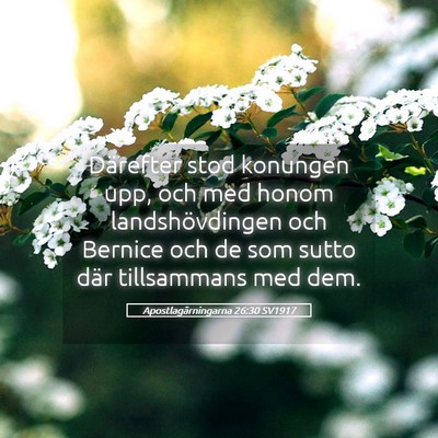 Picture 05 - Apostlagärningarna 26:30 SV1917 - Därefter stod konungen upp, och med honom - Bible Verse Picture