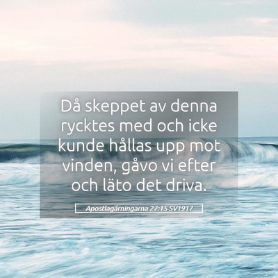 Picture 05 - Apostlagärningarna 27:15 SV1917 - Då skeppet av denna rycktes med och icke kunde - Bible Verse Picture