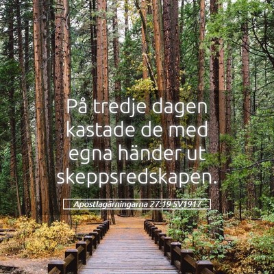 Picture 05 - Apostlagärningarna 27:19 SV1917 - På tredje dagen kastade de med egna händer ut - Bible Verse Picture