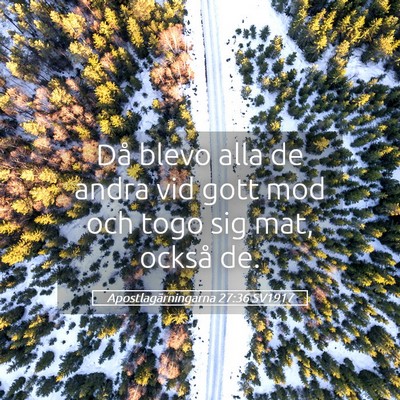 Picture 05 - Apostlagärningarna 27:36 SV1917 - Då blevo alla de andra vid gott mod och togo sig - Bible Verse Picture