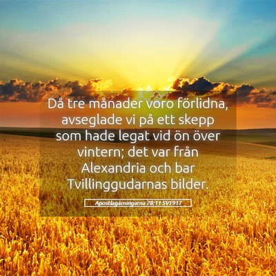 Picture 05 - Apostlagärningarna 28:11 SV1917 - Då tre månader voro förlidna, avseglade vi på - Bible Verse Picture