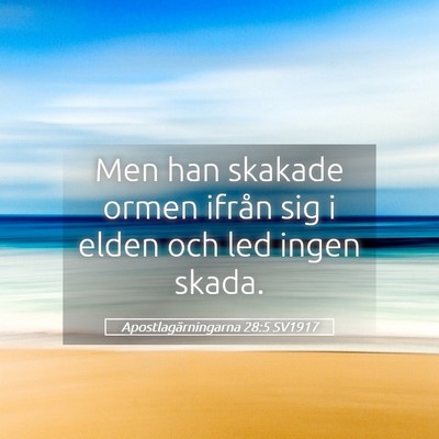 Picture 05 - Apostlagärningarna 28:5 SV1917 - Men han skakade ormen ifrån sig i elden och led - Bible Verse Picture