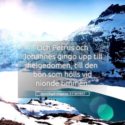 Picture 05 - Apostlagärningarna 3:1 SV1917 - Och Petrus och Johannes gingo upp till - Bible Verse Picture