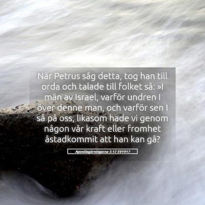 Picture 05 - Apostlagärningarna 3:12 SV1917 - När Petrus såg detta, tog han till orda och - Bible Verse Picture
