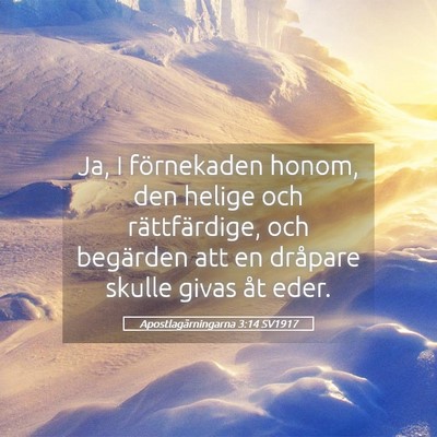 Picture 05 - Apostlagärningarna 3:14 SV1917 - Ja, I förnekaden honom, den helige och - Bible Verse Picture