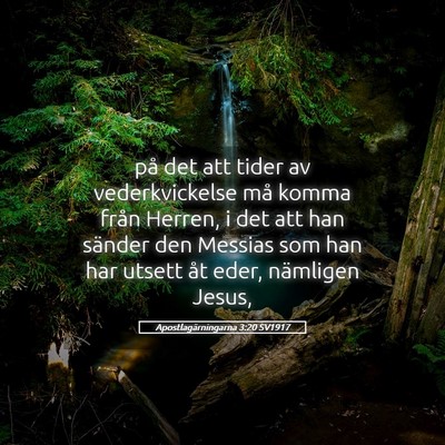 Picture 05 - Apostlagärningarna 3:20 SV1917 - på det att tider av vederkvickelse må komma - Bible Verse Picture