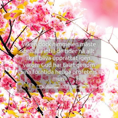 Picture 05 - Apostlagärningarna 3:21 SV1917 - vilken dock himmelen måste behålla intill de - Bible Verse Picture