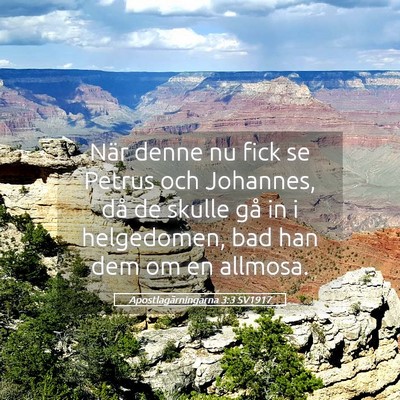 Picture 05 - Apostlagärningarna 3:3 SV1917 - När denne nu fick se Petrus och Johannes, då de - Bible Verse Picture