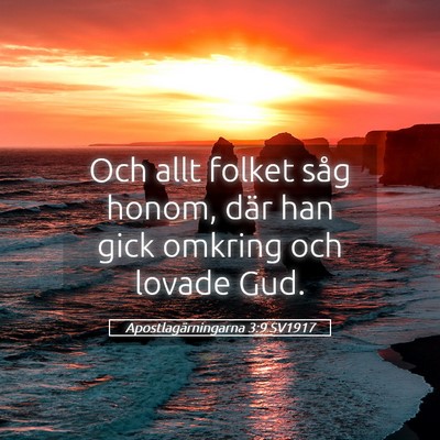 Picture 05 - Apostlagärningarna 3:9 SV1917 - Och allt folket såg honom, där han gick omkring - Bible Verse Picture