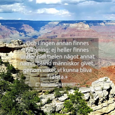 Picture 05 - Apostlagärningarna 4:12 SV1917 - Och i ingen annan finnes frälsning; ej heller - Bible Verse Picture
