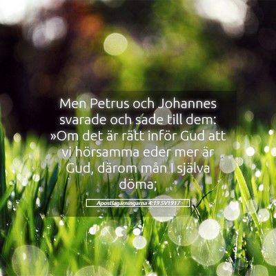 Picture 05 - Apostlagärningarna 4:19 SV1917 - Men Petrus och Johannes svarade och sade till - Bible Verse Picture