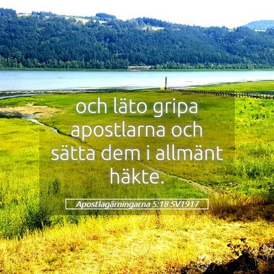 Picture 05 - Apostlagärningarna 5:18 SV1917 - och läto gripa apostlarna och sätta dem i - Bible Verse Picture
