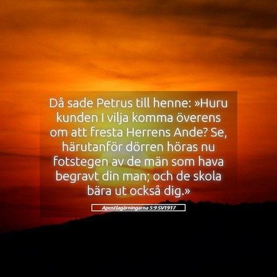 Picture 05 - Apostlagärningarna 5:9 SV1917 - Då sade Petrus till henne: »Huru kunden I vilja - Bible Verse Picture