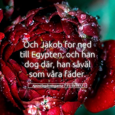 Picture 05 - Apostlagärningarna 7:15 SV1917 - Och Jakob for ned till Egypten; och han dog där, - Bible Verse Picture