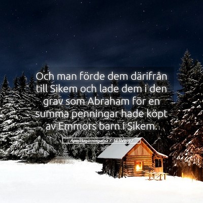 Picture 05 - Apostlagärningarna 7:16 SV1917 - Och man förde dem därifrån till Sikem och lade - Bible Verse Picture