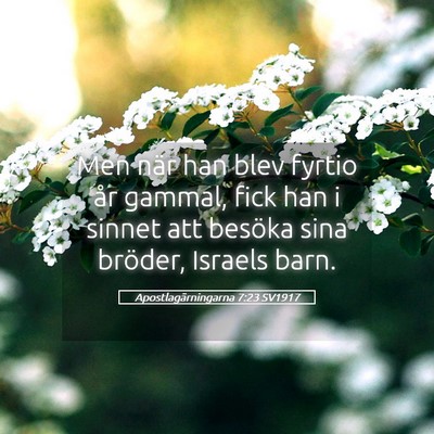 Picture 05 - Apostlagärningarna 7:23 SV1917 - Men när han blev fyrtio år gammal, fick han i - Bible Verse Picture