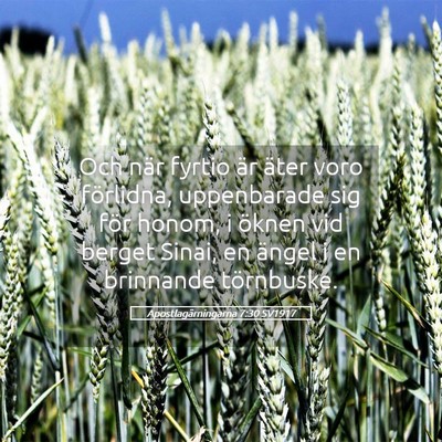 Picture 05 - Apostlagärningarna 7:30 SV1917 - Och när fyrtio är äter voro förlidna, - Bible Verse Picture