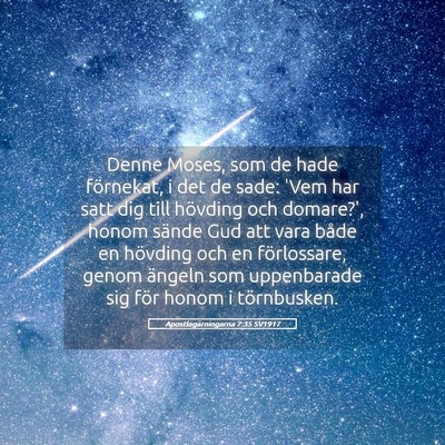 Picture 05 - Apostlagärningarna 7:35 SV1917 - Denne Moses, som de hade förnekat, i det de - Bible Verse Picture